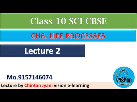 ch 6 life processes part 2