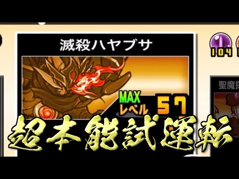 猫の動画サムネイル - 【にゃんこ大戦争】ぶっ壊れの予感？超本能ハヤブサ試運転生配信