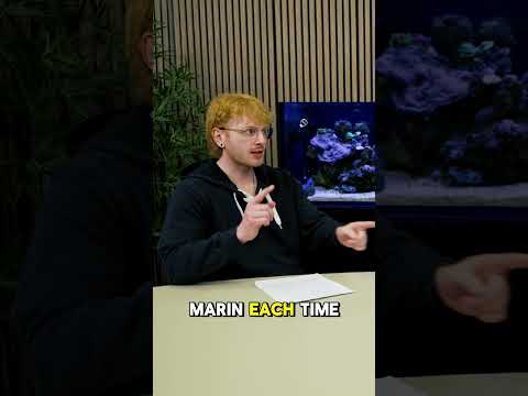 A STRONG Routine #brstv Building a solid tank maintenance routine for your saltwater aquarium is essential for success!
#sho