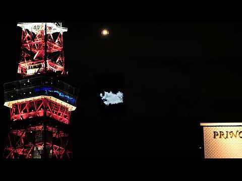 映画『ヒックとドラゴン』特別映像／ヒックとトゥースが東京の空にやってきた！