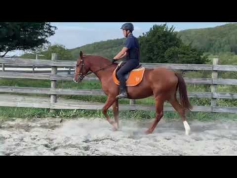 売約済*2歳牝ブライダルブーケ 2025/09/17