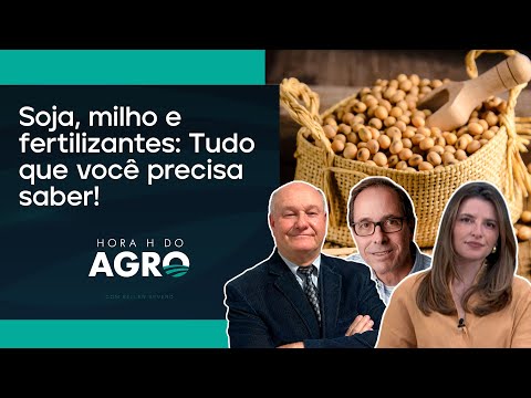 Pico de alta da soja pode ter ficado para trás; entenda! | HORA H DO AGRO