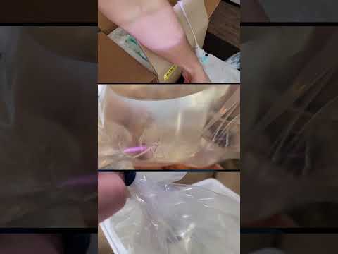 UNBOXING of Live Aquarium Fish by VIVVY Customers 📦Ship, ship, hooray! 🥳We love your 🐟🦐 unboxing videos. Thanks for sharing your unboxings