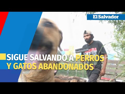 Don Sergio, el rescatador de mascotas sigue salvando a perros y gatos abandonados
