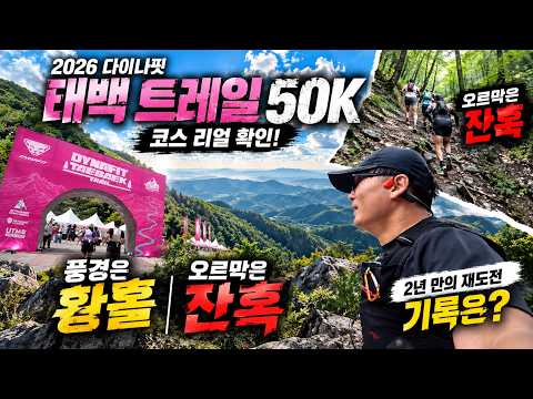 2026 다이나핏 태백 트레일 50K <strong>코스</strong> 리얼 확인!