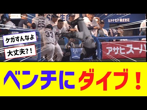 巨人・山瀬、ヤクルトベンチにダイブ → オスナに優しく抱っこしてもらう【なんJ反応】