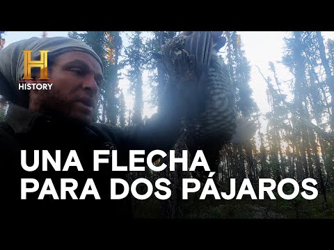 UNA FLECHA PARA DOS PÁJAROS  - SOLOS