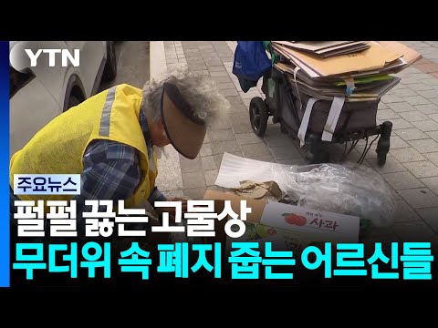 펄펄 끓는 고물상...무더위 속 폐지 줍는 어르신들 / YTN