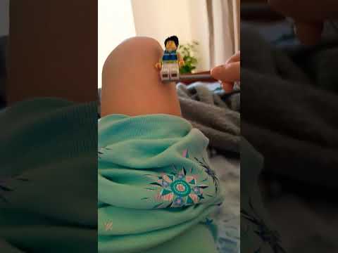 lego zoo human are seguent comedy #brainot #stealabrainrot #zoochosis #zoonomaly