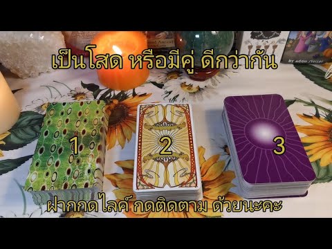 Pickacard|เป็นโสดหรือมี​ค