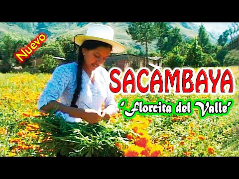 SACAMBAYA -Florcita del Valle - Huayño. (Video Oficial) Difundido por ALPRO BO.