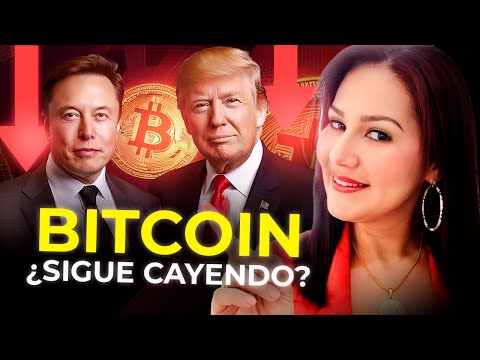 QUÉ ESTÁ PASANDO?? - Trump y Musk niegan a Bitcoin