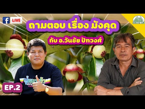 EP.2-ถาม-ตอบ-เรื่องมังคุด-โดย- EP.2-ถาม-ตอบ-เรื่องมังคุด-โดย-