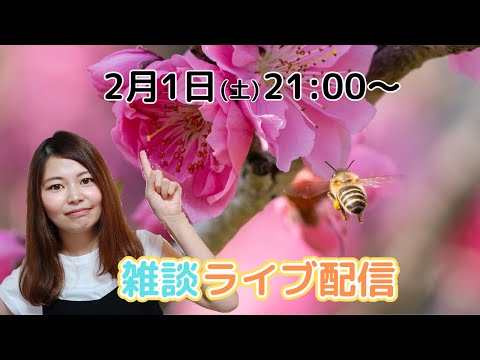 ミツバチのことあれこれ【雑談配信】🐝