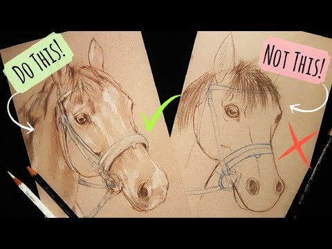 Sketching Animals: How To Draw a Realistic Horse