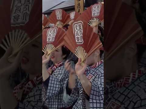 石岡のおまつりとマヌルネコの見どころ紹介 サムネイル