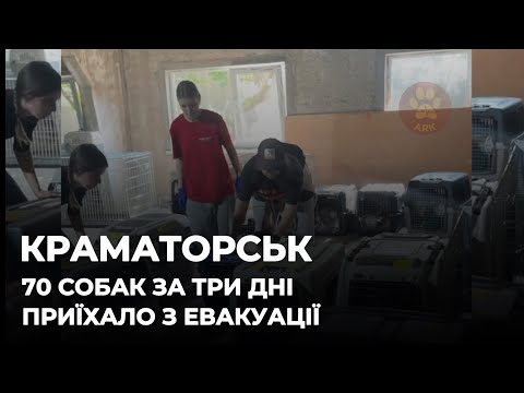 КРАМАТОРСЬК | За 3 дні 70 собак приїхало до нас в ARK
