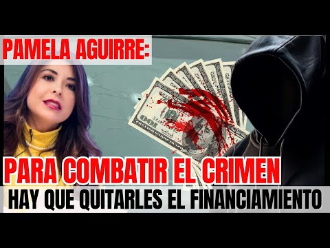 Pamela Aguirre  dice que para combatir el crimen hay que quitarles el financiamiento