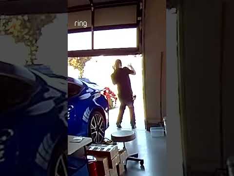 Take this as a reminder to always watch your head! We're happy to report he is totally okay!