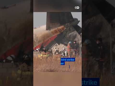 South Korea: Plane crashes upon landing, bursts into flames | DW News