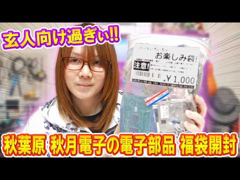 【福袋】玄人過ぎぃ!!秋月電子1,000円の電子部品ジャンク福袋開封で謎パーツ続出【電子工作】