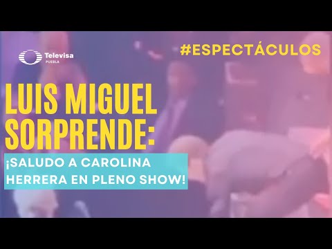 Luis Miguel Sorprende con Saludo a Carolina Herrera en Concierto