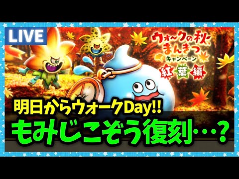 【ドラクエウォーク】待望のもみじこぞう復刻...？？明日からウォークDAY開始～～～！！【雑談放送】