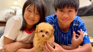 動画サムネイル