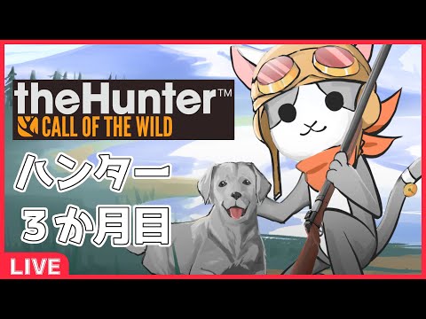 thumbnail_UMUNBXmlxOo