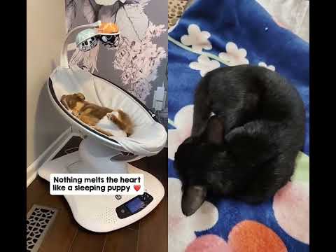 cute🤩🤩😍😍😍😍😍😍