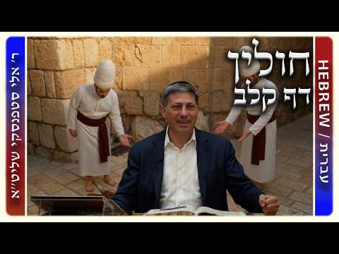 מרכז דף יומי - חולין דף קלב. - ר' אלי סטפנסקי שליט"א