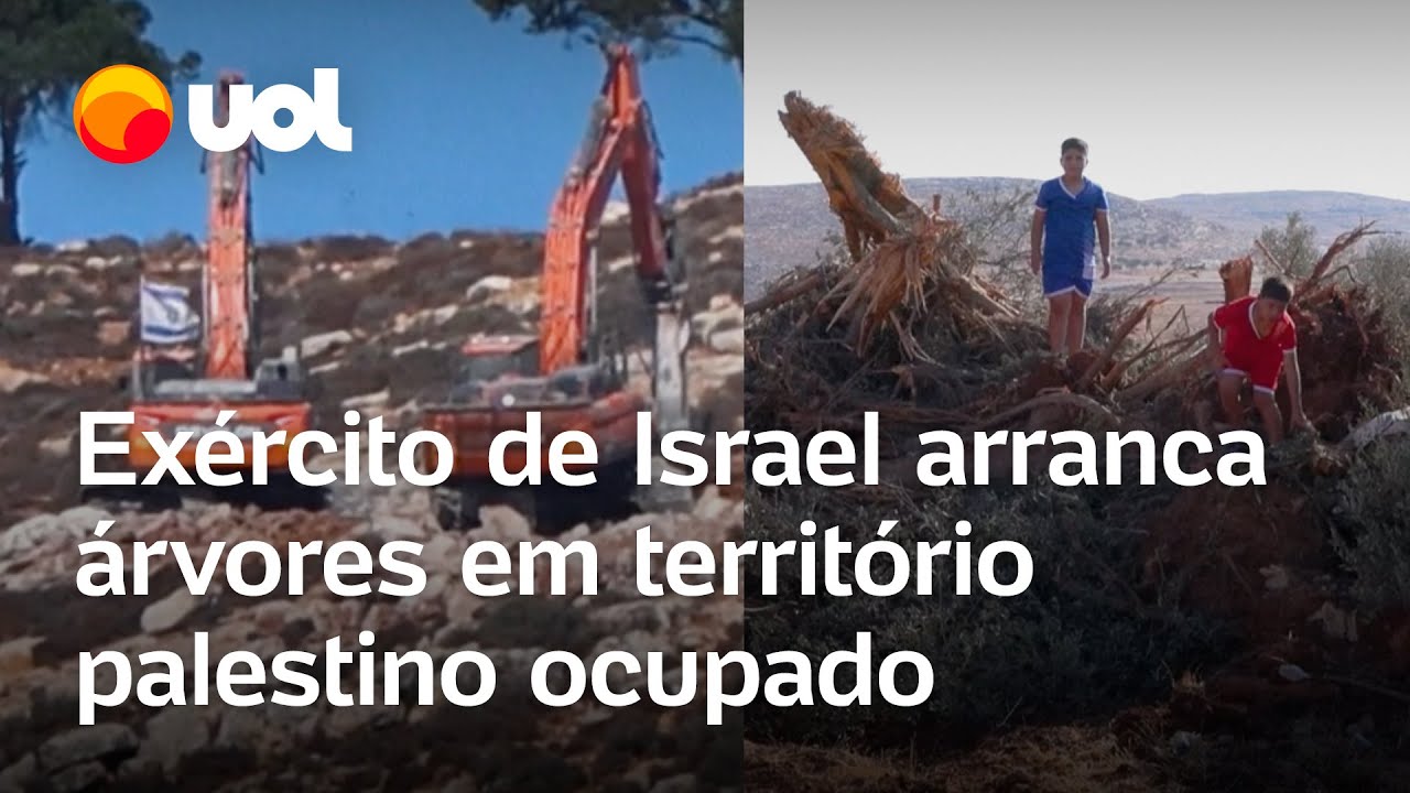 Exército de Israel arranca oliveiras símbolo palestino na Cisjordânia Eliminar a história