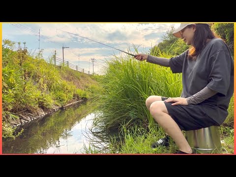 婚姻色のタナゴを求めて田舎の小川にやってきました