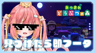 【あつ森】フータさんにもっと虫を押し付けたい🦉💨【飛良ひかり / ななしいんく】