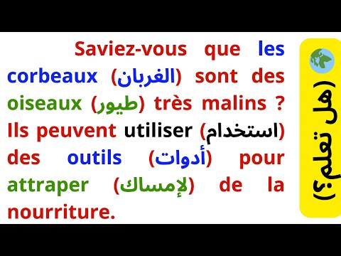تعلم اللغة الفرنسية القراءة باللغة بالفرنسية وتحسين مهارة النطق (الدرس 16) وثقافة عامة بالفرنسية👍👀