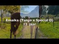 Dressuurpaard Mooie krachtige merrie (Tango x Special D)