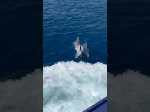 #средиземноеморе