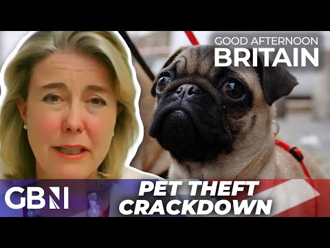 Pet theft CRACKDOWN: 'Callous criminals' who steal pets are one step closer to prison time