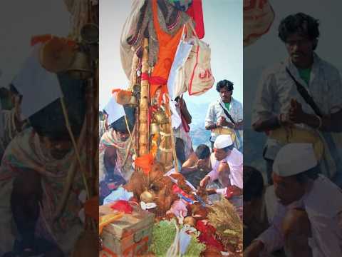 Full video link 👆🏻👆🏻👆🏻