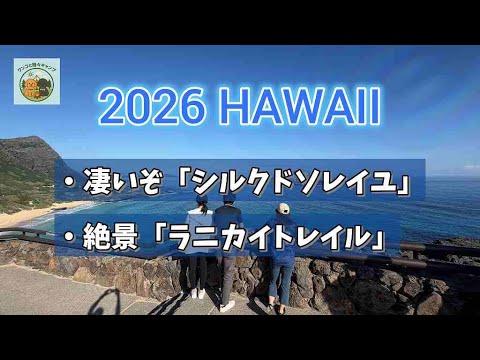 【2026ハワイ最新情報】大迫力のシルクドソレイユ。世界一絶景なトレイル、ラニカイ・ピルボックス。カカアコの朝市。ビジネスクラスは入札で。
