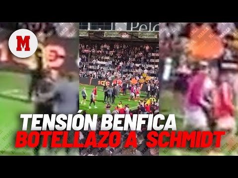 Tensión en el Benfica: botellazo a Roger Scmidt de un aficionado desde la grada I MARCA