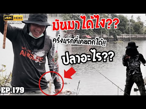 🎣🐠-We-are-Angler-EP:179-“มันมา 🎣🐠-We-are-Angler-EP:179-“มันมา