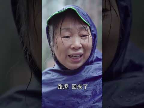 勿以善小而不爲！路虎的小小善舉，就足以溫暖世界❤️  #萌寵  #金毛路虎