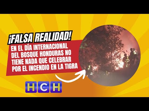En el Día Internacional del Bosque Honduras no tiene nada que celebrar por el incendio en La Tigra
