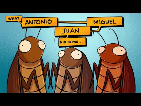 Cockroach stories (Animated Story time)