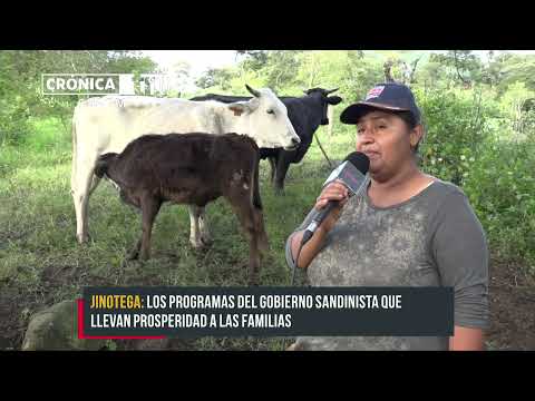 Jinotega: Protagonistas de Inseminación Artificial de Bovino con excelentes resultados - Nicaragua