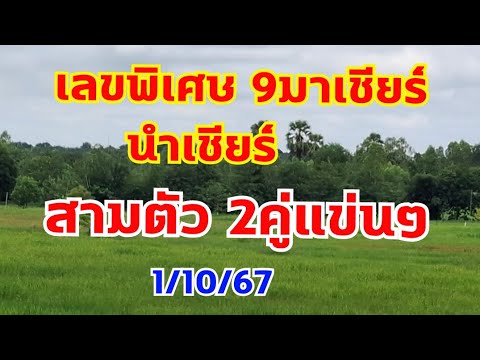 เลขพิเศษ9มาเชียร์นำเชียร์ส