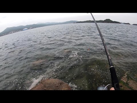 初場所でショアラバ投げて釣れた魚は！＠釣りに行こうか