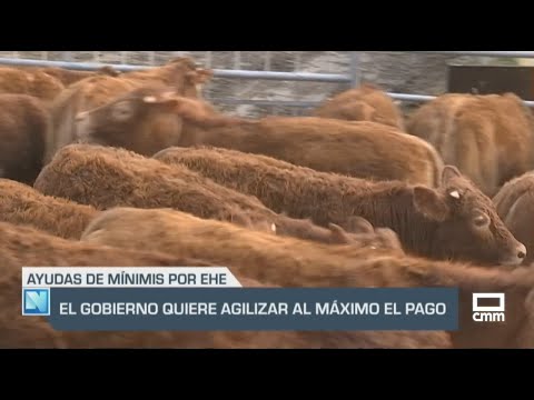El Campo | El Gobierno quiere agilizar al máximo el pago de las ayudas de mínimis por EHE | 25/06/24
