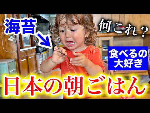 息子が初めて食べる日本のケーキに驚き、爆食
